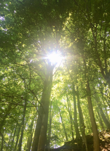 Lire la suite à propos de l’article Rituel sacré d&rsquo;éveil avec l&rsquo;esprit